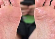 4_491x800 - עותק
